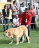Filename=IMG-6198.jpg
Filesize=116KiB
Dimensions=823x1000
Date added=%829 %25, %2013 IMG-6198.jpg