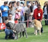 Filename=img-6192.jpg
Filesize=145KiB
Dimensions=1147x1000
Date added=%829 %25, %2013 img-6192.jpg