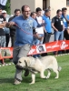 Filename=img-6194-31.jpg
Filesize=90KiB
Dimensions=766x1000
Date added=%829 %25, %2013 img-6194-31.jpg