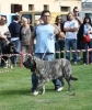 Filename=img-6197.jpg
Filesize=114KiB
Dimensions=848x1000
Date added=%829 %25, %2013 img-6197.jpg