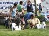 Filename=img-6202.jpg
Filesize=123KiB
Dimensions=1000x730
Date added=%829 %25, %2013 img-6202.jpg