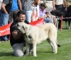 Filename=img-6210.jpg
Filesize=112KiB
Dimensions=1000x856
Date added=%829 %25, %2013 img-6210.jpg