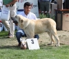 Filename=img-6212.jpg
Filesize=112KiB
Dimensions=1000x852
Date added=%829 %25, %2013 img-6212.jpg