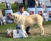 Filename=img-6216.jpg
Filesize=107KiB
Dimensions=1000x811
Date added=%829 %25, %2013 img-6216.jpg
