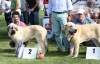 Filename=img-6217.jpg
Filesize=92KiB
Dimensions=1000x646
Date added=%829 %25, %2013 img-6217.jpg