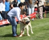 Filename=img6207.jpg
Filesize=143KiB
Dimensions=1000x818
Date added=%829 %25, %2013 img6207.jpg