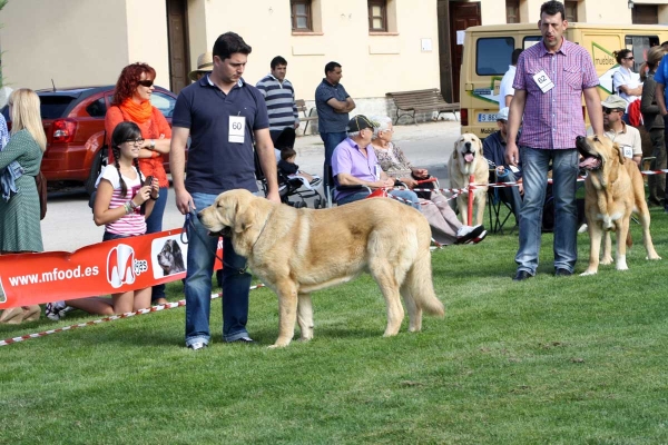 Ávila, Spain 21.09.2013
الكلمات الإستدلالية(لتسهيل البحث): 2013