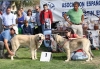 Filename=img-6220.jpg
Filesize=117KiB
Dimensions=1000x691
Date added=%664 %26, %2013 img-6220.jpg