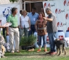 Filename=img-6222.jpg
Filesize=112KiB
Dimensions=1000x870
Date added=%664 %26, %2013 img-6222.jpg