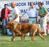 Filename=img-6225.jpg
Filesize=99KiB
Dimensions=1000x973
Date added=%664 %26, %2013 img-6225.jpg
