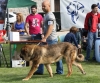 Filename=img-6226.jpg
Filesize=96KiB
Dimensions=1000x831
Date added=%664 %26, %2013 img-6226.jpg