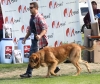 Filename=img-6228.jpg
Filesize=111KiB
Dimensions=1000x843
Date added=%664 %26, %2013 img-6228.jpg