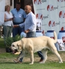 Filename=img6227.jpg
Filesize=89KiB
Dimensions=1000x1060
Date added=%664 %26, %2013 img6227.jpg