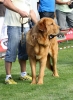 Filename=img6231.jpg
Filesize=101KiB
Dimensions=737x1000
Date added=%664 %26, %2013 img6231.jpg