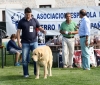 Filename=img6234.jpg
Filesize=119KiB
Dimensions=1000x851
Date added=%664 %26, %2013 img6234.jpg