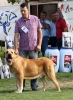Filename=img6235.jpg
Filesize=125KiB
Dimensions=883x1200
Date added=%664 %26, %2013 img6235.jpg