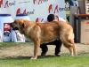 Filename=img6236.jpg
Filesize=92KiB
Dimensions=1000x762
Date added=%664 %26, %2013 img6236.jpg