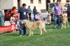 Filename=img6238.jpg
Filesize=146KiB
Dimensions=1200x800
Date added=%664 %26, %2013 img6238.jpg