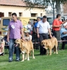 Filename=img6239.jpg
Filesize=136KiB
Dimensions=951x1000
Date added=%664 %26, %2013 img6239.jpg