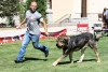Filename=IMG-6279.jpg
Filesize=168KiB
Dimensions=1200x815
Date added=%768 %27, %2013 IMG-6279.jpg