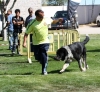 Filename=IMG-6283.jpg
Filesize=139KiB
Dimensions=1000x929
Date added=%768 %27, %2013 IMG-6283.jpg