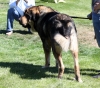 Filename=IMG-6286.jpg
Filesize=196KiB
Dimensions=1100x973
Date added=%768 %27, %2013 IMG-6286.jpg