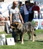 Filename=IMG-6289.jpg
Filesize=181KiB
Dimensions=1049x1200
Date added=%768 %27, %2013 IMG-6289.jpg