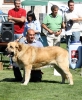 Filename=IMG-6298.jpg
Filesize=162KiB
Dimensions=984x1200
Date added=%768 %27, %2013 IMG-6298.jpg