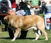 Filename=IMG-6301.jpg
Filesize=119KiB
Dimensions=1100x944
Date added=%768 %27, %2013 IMG-6301.jpg
