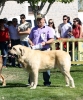 Filename=IMG-6303-132.jpg
Filesize=172KiB
Dimensions=998x1200
Date added=%768 %27, %2013 IMG-6303-132.jpg