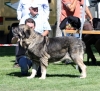 Filename=IMG-6305.jpg
Filesize=103KiB
Dimensions=1000x919
Date added=%768 %27, %2013 IMG-6305.jpg