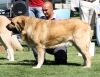 Filename=IMG-6307.jpg
Filesize=129KiB
Dimensions=1200x927
Date added=%768 %27, %2013 IMG-6307.jpg
