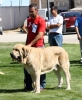 Filename=IMG-6309-134.jpg
Filesize=147KiB
Dimensions=984x1200
Date added=%768 %27, %2013 IMG-6309-134.jpg