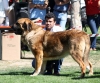 Filename=IMG-6310-130.jpg
Filesize=98KiB
Dimensions=1000x838
Date added=%768 %27, %2013 IMG-6310-130.jpg