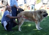 Filename=IMG-6312.jpg
Filesize=102KiB
Dimensions=1200x864
Date added=%768 %27, %2013 IMG-6312.jpg