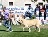 Filename=IMG-6317-132.jpg
Filesize=133KiB
Dimensions=1100x852
Date added=%768 %27, %2013 IMG-6317-132.jpg