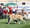Filename=IMG-6318.jpg
Filesize=131KiB
Dimensions=1000x931
Date added=%768 %27, %2013 IMG-6318.jpg