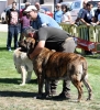 Filename=IMG-6322-129.jpg
Filesize=169KiB
Dimensions=1000x1097
Date added=%768 %27, %2013 IMG-6322-129.jpg