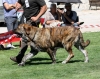 Filename=IMG-6327-129.jpg
Filesize=111KiB
Dimensions=1000x799
Date added=%768 %27, %2013 IMG-6327-129.jpg