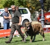 Filename=IMG-6342.jpg
Filesize=141KiB
Dimensions=1000x918
Date added=%768 %27, %2013 IMG-6342.jpg