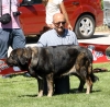 Filename=IMG-6348.jpg
Filesize=137KiB
Dimensions=1000x984
Date added=%768 %27, %2013 IMG-6348.jpg