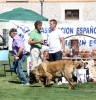 Filename=IMG-6365.jpg
Filesize=134KiB
Dimensions=1000x1037
Date added=%768 %27, %2013 IMG-6365.jpg