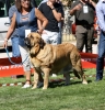 Filename=IMG-6368.jpg
Filesize=167KiB
Dimensions=1000x1037
Date added=%740 %30, %2013 IMG-6368.jpg