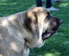 Filename=IMG-6374.jpg
Filesize=109KiB
Dimensions=1200x982
Date added=%740 %30, %2013 IMG-6374.jpg