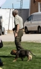 Filename=IMG-6375.jpg
Filesize=97KiB
Dimensions=725x1200
Date added=%740 %30, %2013 IMG-6375.jpg