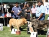 Filename=IMG-6388-abiertahembras.jpg
Filesize=158KiB
Dimensions=1200x934
Date added=%740 %30, %2013 IMG-6388-abiertahembras.jpg