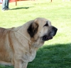 Filename=IMG-6394.jpg
Filesize=81KiB
Dimensions=1000x972
Date added=%740 %30, %2013 IMG-6394.jpg