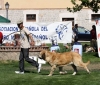 Filename=IMG-6397-campeoneshembras.jpg
Filesize=117KiB
Dimensions=1000x852
Date added=%740 %30, %2013 IMG-6397-campeoneshembras.jpg