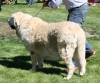 Filename=IMG-6408-185.jpg
Filesize=144KiB
Dimensions=1100x922
Date added=%740 %30, %2013 IMG-6408-185.jpg