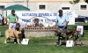Filename=IMG-6411.jpg
Filesize=126KiB
Dimensions=1200x730
Date added=%740 %30, %2013 IMG-6411.jpg